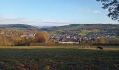 Tour Wandern Stoumont - Le Roannay, le mont des Brumes, la fagne - Photo 8