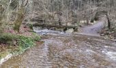 Tour Wandern Weismes - ROBERTVILLE ... par le Château de REINHARDSTEIN.  - Photo 12