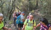 Trail Walking Le Broc - ESTERON - Photo 18