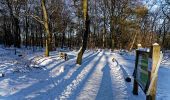 Tour Zu Fuß Ermelo - Leuvenumse bos (blauwe route) - Photo 7