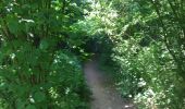 Trail Walking Seneffe - BE-Seneffe - Arquennes - Hameau Les Bois et l'ancien canal - Photo 5