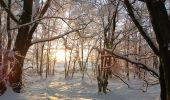 Trail Walking Spa - tour de la fagne de Malchamps dans la neige  - Photo 4