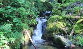 Randonnée Marche Wildenstein - TREK ALSACIEN (boucle sentier de la pierre sauvage) - Photo 6