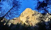 Trail Walking La Robine-sur-Galabre - 20191209_Passerelle Bès_Lame Facibelle_Belvédère Pas d'oiseaux  - Photo 2