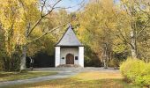 Tour Zu Fuß Beuren (Hochwald) - Hinzert-Pölert 1 - Photo 8