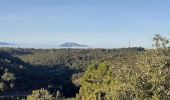 Trail Walking Fréjus - Autour du col des Sacs depuis Parking de la Colle Douce - Photo 1