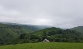 Excursión Cicloturismo Bettes - Bettes - St-Pé-de-Bigorre - Photo 10