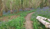 Tour Wandern Nassandres sur Risle - Nassandres - Photo 2