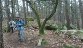 Trail Walking Fontainebleau - carrefour de Vienne 10 mars 2023  - Photo 6