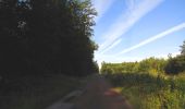 Trail Walking Dampleux - en forêt de Retz_80_sur la Route Tortue et la Route Droite - Photo 16
