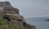 Trail Walking Pleumeur-Bodou - GR_34_EC_31_Pleumer-Bodou_Trebeurden_20241102 - Photo 20