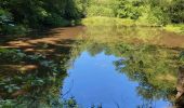 Tour Wandern Oud-Heverlee - Sint-Joris-Weert (Forêt de Meerdaal) - Photo 1