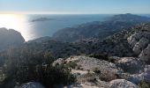 Trail Walking Marseille - Calanques, cirque des Pételins-08-11-2023 - Photo 12