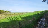 Trail Walking Sainte-Ode - BeauPlateau - Photo 17