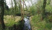 Randonnée A pied Breckland - Lynford Circular Walk - Photo 9