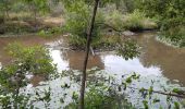 Tocht Stappen Durbuy - gare biron  bois de petithan ac - Photo 5