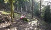 Trail Walking Saint-Martin-d'Uriage - Circuit des Marais- Les Seiglières - Photo 9