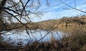 Tocht Stappen Overijse - Tour Genval Rixensart 4/2/21 - Photo 4