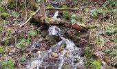 Tour Wandern Weismes - ROBERTVILLE ... par le Château de REINHARDSTEIN.  - Photo 9