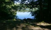Trail Walking Saissac - le lampy - Photo 1
