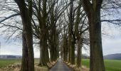 Tocht Stappen Esneux - tilff . brialmont . hayen . dur les hus . chapelle des chaweresses. tilff   - Photo 13