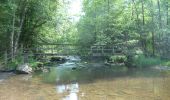 Tour Wandern Daverdisse - Porcheresse - Photo 4
