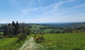 Trail Walking La Montagne - la montagne 70000  - Photo 3