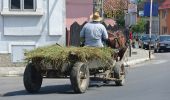 Randonnée A pied Râșnov - Râșnov - Valea Poienii - Poiana Brașov - Photo 9