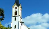 Tour Zu Fuß Feilbingert - Panoramaweg Feilbingert - Photo 3