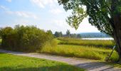 Tour Zu Fuß Uster - Uster - Pfannenstil Hochwacht - Photo 7