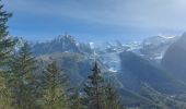 Tocht Stappen Chamonix-Mont-Blanc - 20231012 Chamonix Bois Prin Gaillants - Photo 5