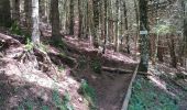 Tour Wandern Wegscheid - FucksfelsenBelacker - Photo 4