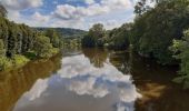 Tour Wandern Esneux - esneux grande boucle de l ourthe via roche aux foncons - Photo 7