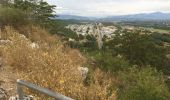 Tour Wandern Sisteron - Sisteron  - Photo 8