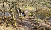 Tour Wandern Hohenfels - Cetturu 060224 - Photo 15