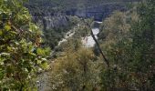 Randonnée Marche Berrias-et-Casteljau - bois de Paîolive - Photo 4