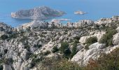 Tour Wandern Marseille - Les calanques  - Photo 11