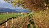 Tour Zu Fuß Markdorf - Wanderwege Markdorf: Pferdweg - Photo 5