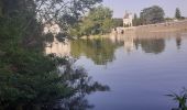Trail Walking Chenonceaux - Chenonceaux - Photo 8