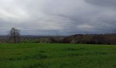 Tour Wandern Fougerolles-Saint-Valbert - 1-04-24 Ramouse - Pierres de rouges - le Bout - Photo 2