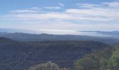 Excursión Senderismo Fréjus - Mont Vinaigre  - Photo 11