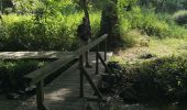Trail Walking Muzillac - 182 le tour de l'étang de Penmur  - Photo 2
