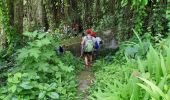 Trail Walking Le Vauclin - Boucle Montagne Vauclin - Photo 2