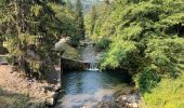 Tour Wandern Grand-Aigueblanche - Cascade du Morel-20-07-22 - Photo 4