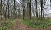 Trail Walking Tintigny - Bellefontaine Saint-Vincent - Photo 1