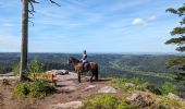 Trail Horseback riding Étival-Clairefontaine - suuntoapp-HorsebackRiding-2024-04-14T08-00-40Z - Photo 2