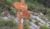 Trail Walking Levens - Mont Cima - Photo 6