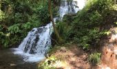 Excursión Senderismo Le Val-d'Ajol - Cascade de Faymont - Photo 10