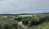 Tocht Noords wandelen Vendays-Montalivet - Marais de la Perge - Photo 3