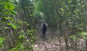 Tocht Stappen Aarschot - Gelrode -Arschot - Photo 16